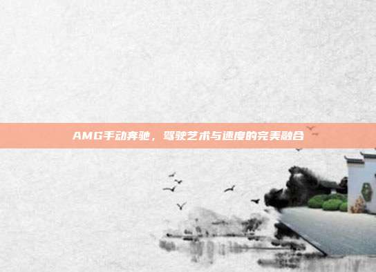 AMG手动奔驰，驾驶艺术与速度的完美融合