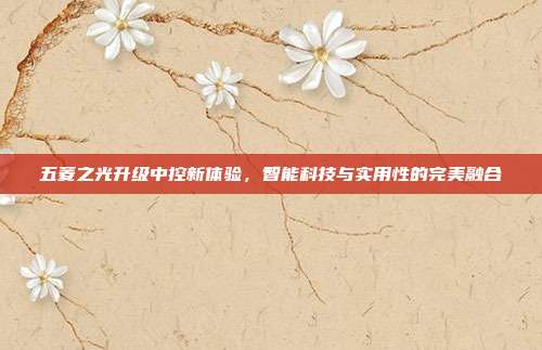 五菱之光升级中控新体验，智能科技与实用性的完美融合