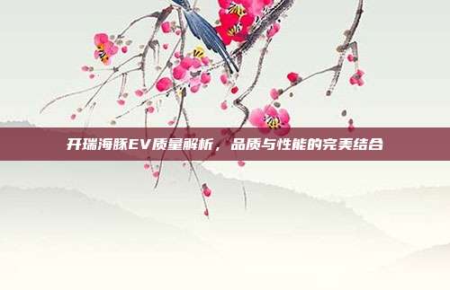 开瑞海豚EV质量解析，品质与性能的完美结合