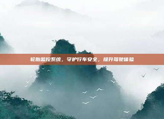 轮胎监控系统，守护行车安全，提升驾驶体验