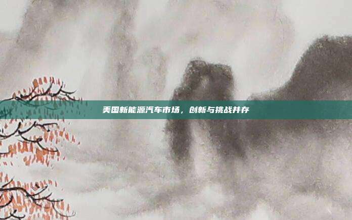 美国新能源汽车市场，创新与挑战并存