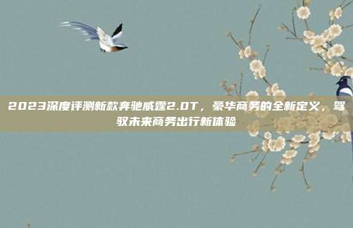2023深度评测新款奔驰威霆2.0T，豪华商务的全新定义，驾驭未来商务出行新体验