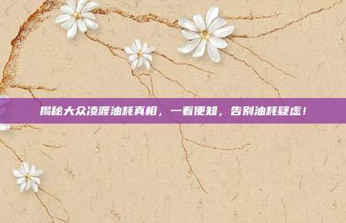 揭秘大众凌渡油耗真相，一看便知，告别油耗疑虑！