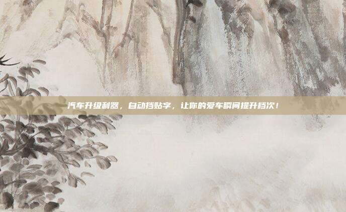 汽车升级利器，自动挡贴字，让你的爱车瞬间提升档次！