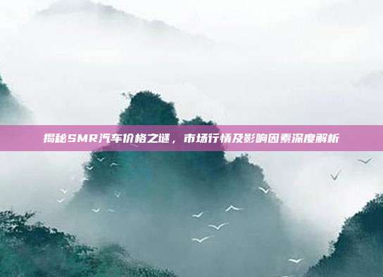 揭秘SMR汽车价格之谜，市场行情及影响因素深度解析