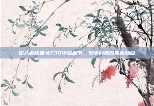 深入解析宝马730中控细节，豪华科技的完美融合