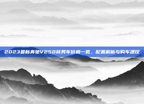 2023最新奔驰V250商务车价格一览，配置解析与购车建议