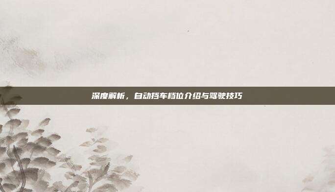 深度解析，自动挡车档位介绍与驾驶技巧