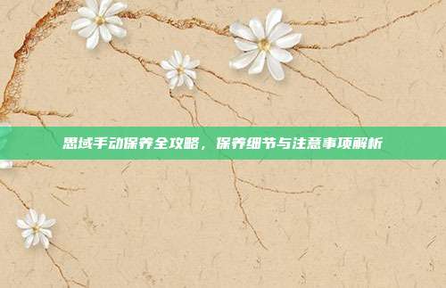 思域手动保养全攻略，保养细节与注意事项解析