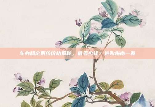 车身稳定系统价格揭秘，值多少钱？选购指南一览