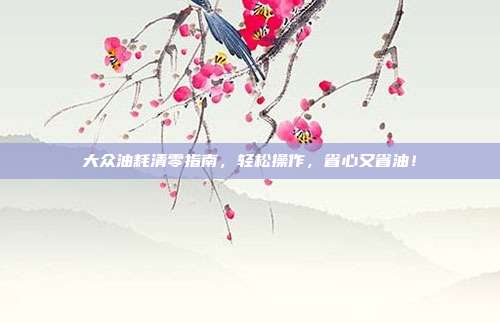 大众油耗清零指南，轻松操作，省心又省油！