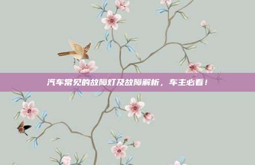 汽车常见的故障灯及故障解析，车主必看！