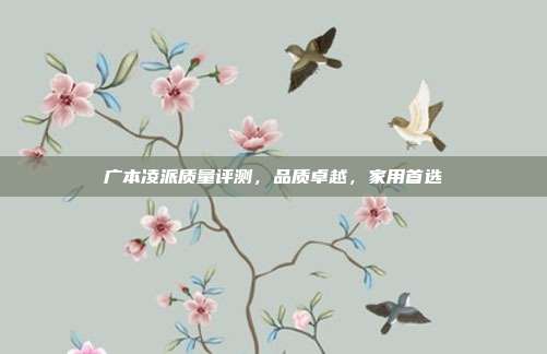 广本凌派质量评测，品质卓越，家用首选