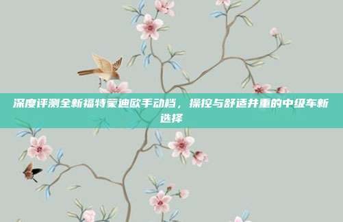 深度评测全新福特蒙迪欧手动档，操控与舒适并重的中级车新选择