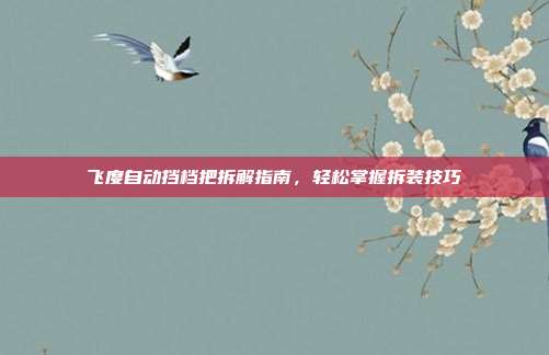 飞度自动挡档把拆解指南，轻松掌握拆装技巧