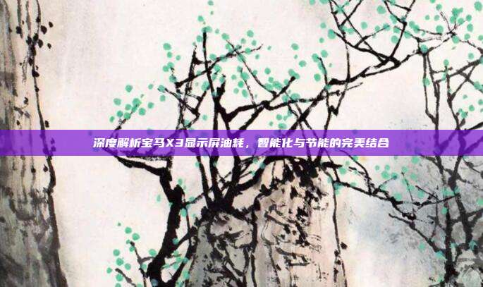 深度解析宝马X3显示屏油耗，智能化与节能的完美结合