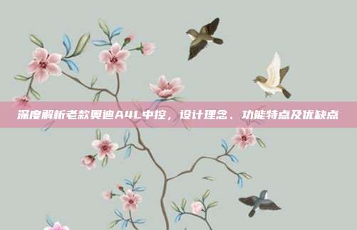 深度解析老款奥迪A4L中控，设计理念、功能特点及优缺点