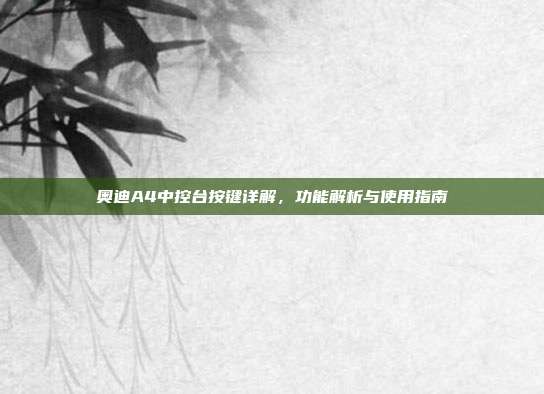 奥迪A4中控台按键详解，功能解析与使用指南
