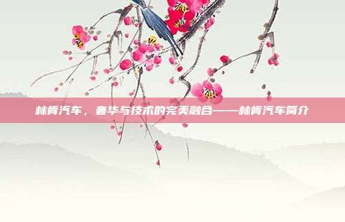 林肯汽车，奢华与技术的完美融合——林肯汽车简介