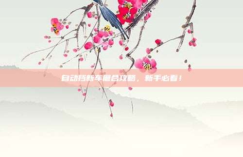 自动挡新车磨合攻略，新手必看！