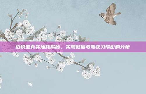 迈锐宝真实油耗揭秘，实测数据与驾驶习惯影响分析