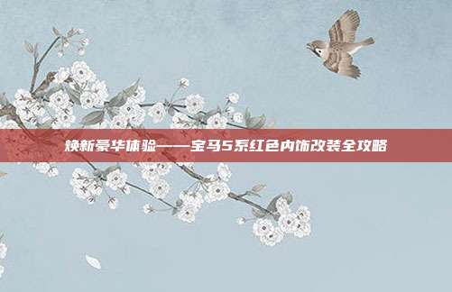 焕新豪华体验——宝马5系红色内饰改装全攻略