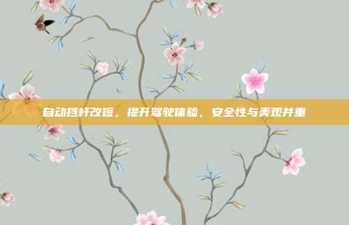 自动挡杆改短，提升驾驶体验，安全性与美观并重