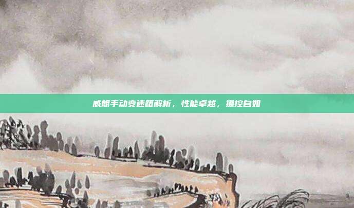 威朗手动变速箱解析，性能卓越，操控自如