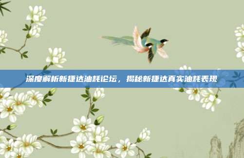 深度解析新捷达油耗论坛，揭秘新捷达真实油耗表现