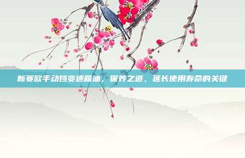 新赛欧手动挡变速箱油，保养之道，延长使用寿命的关键