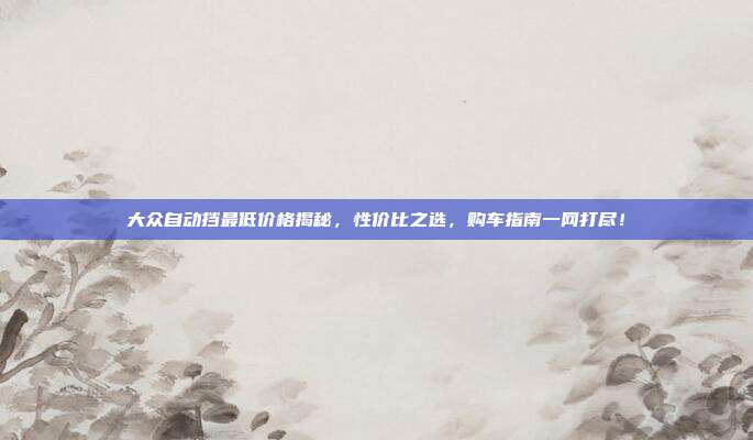 大众自动挡最低价格揭秘，性价比之选，购车指南一网打尽！