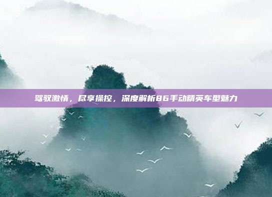 驾驭激情，尽享操控，深度解析86手动精英车型魅力