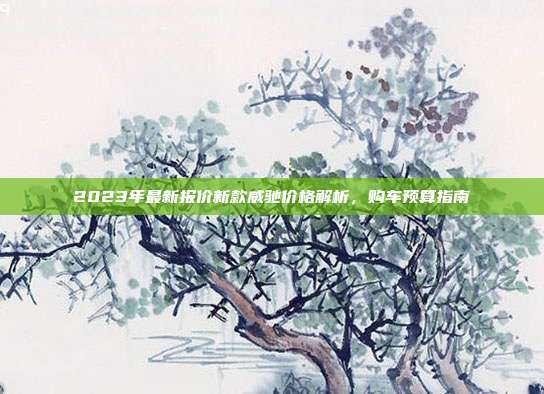 2023年最新报价新款威驰价格解析，购车预算指南