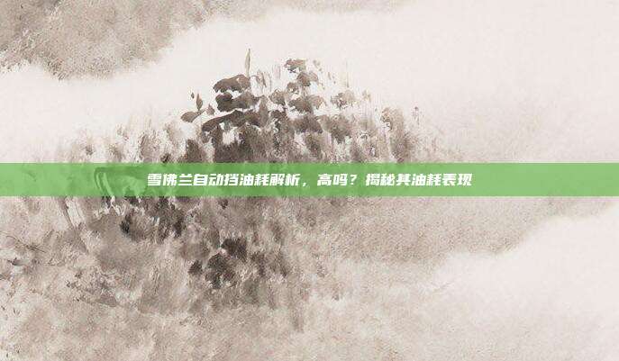 雪佛兰自动挡油耗解析，高吗？揭秘其油耗表现