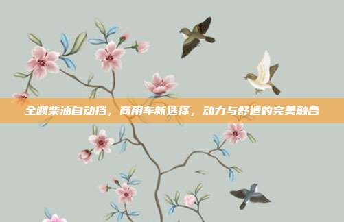 全顺柴油自动挡，商用车新选择，动力与舒适的完美融合