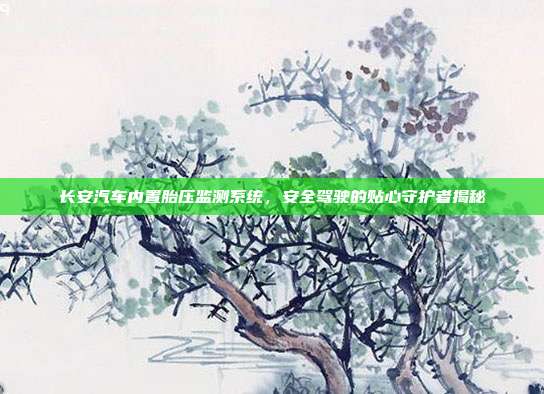 长安汽车内置胎压监测系统，安全驾驶的贴心守护者揭秘