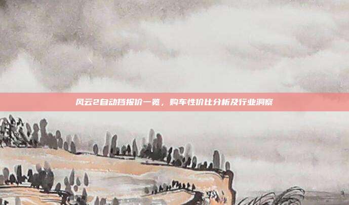 风云2自动挡报价一览，购车性价比分析及行业洞察
