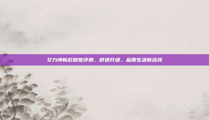 艾力绅新款脚垫评测，舒适升级，品质生活新选择