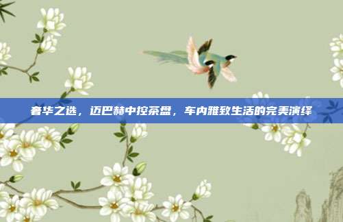 奢华之选，迈巴赫中控茶盘，车内雅致生活的完美演绎