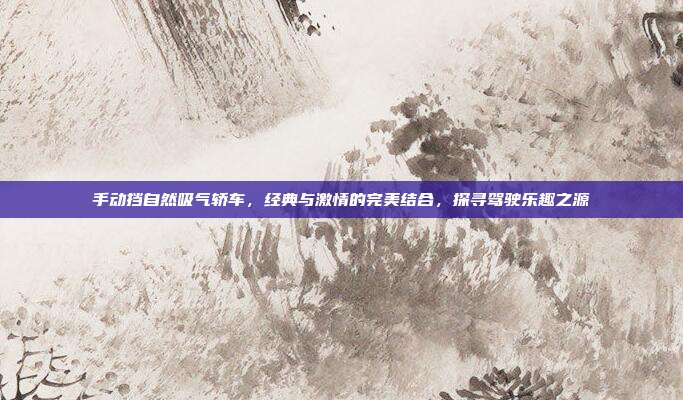 手动挡自然吸气轿车，经典与激情的完美结合，探寻驾驶乐趣之源