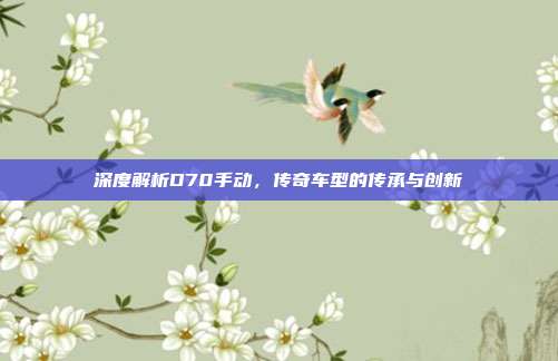 深度解析D70手动，传奇车型的传承与创新