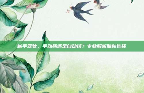 新手驾驶，手动挡还是自动挡？专业解析助你选择
