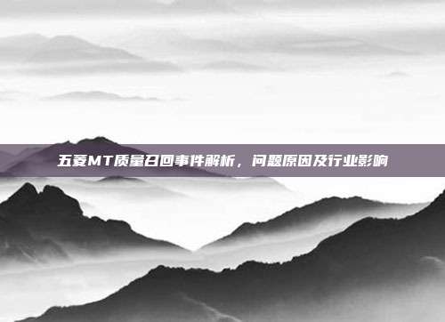 五菱MT质量召回事件解析，问题原因及行业影响