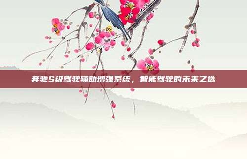 奔驰S级驾驶辅助增强系统，智能驾驶的未来之选