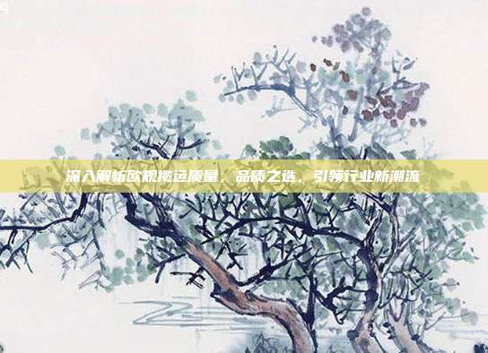 深入解析欧规揽运质量，品质之选，引领行业新潮流