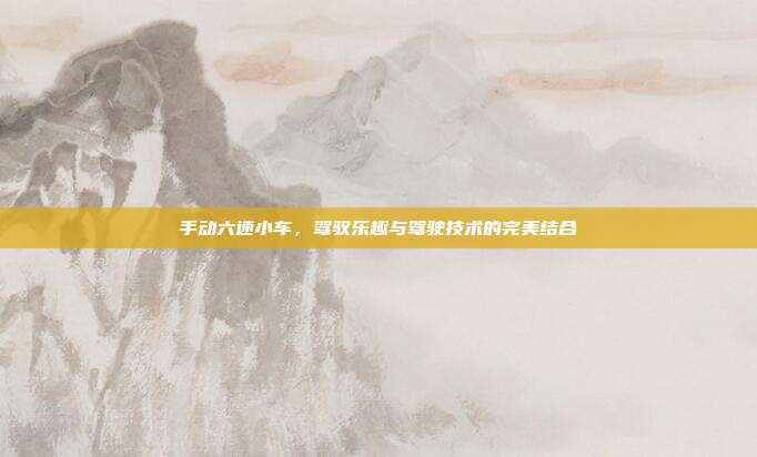 手动六速小车，驾驭乐趣与驾驶技术的完美结合