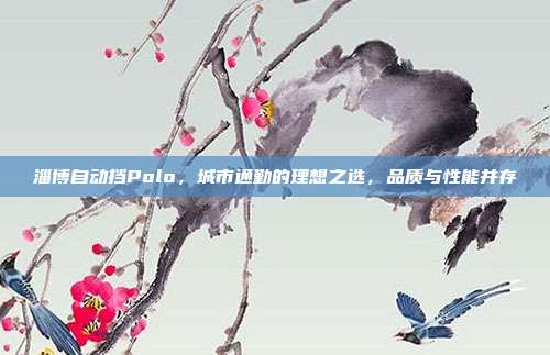 淄博自动挡Polo，城市通勤的理想之选，品质与性能并存