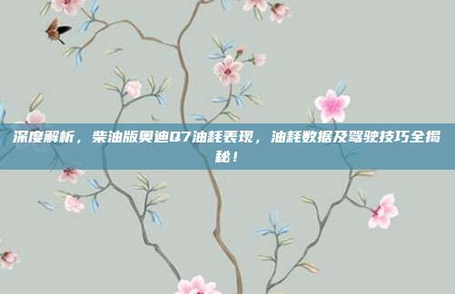 深度解析，柴油版奥迪Q7油耗表现，油耗数据及驾驶技巧全揭秘！
