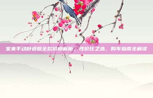 宝来手动舒适版全款价格解析，性价比之选，购车指南全解读