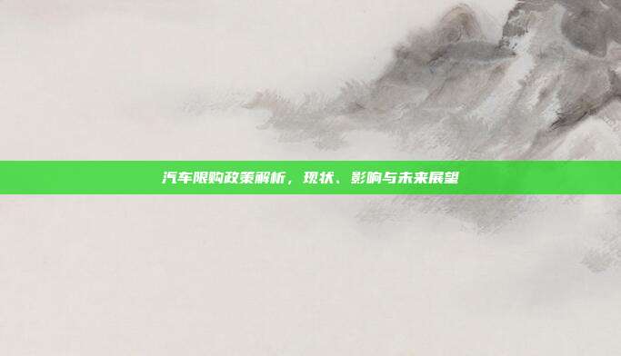 汽车限购政策解析，现状、影响与未来展望